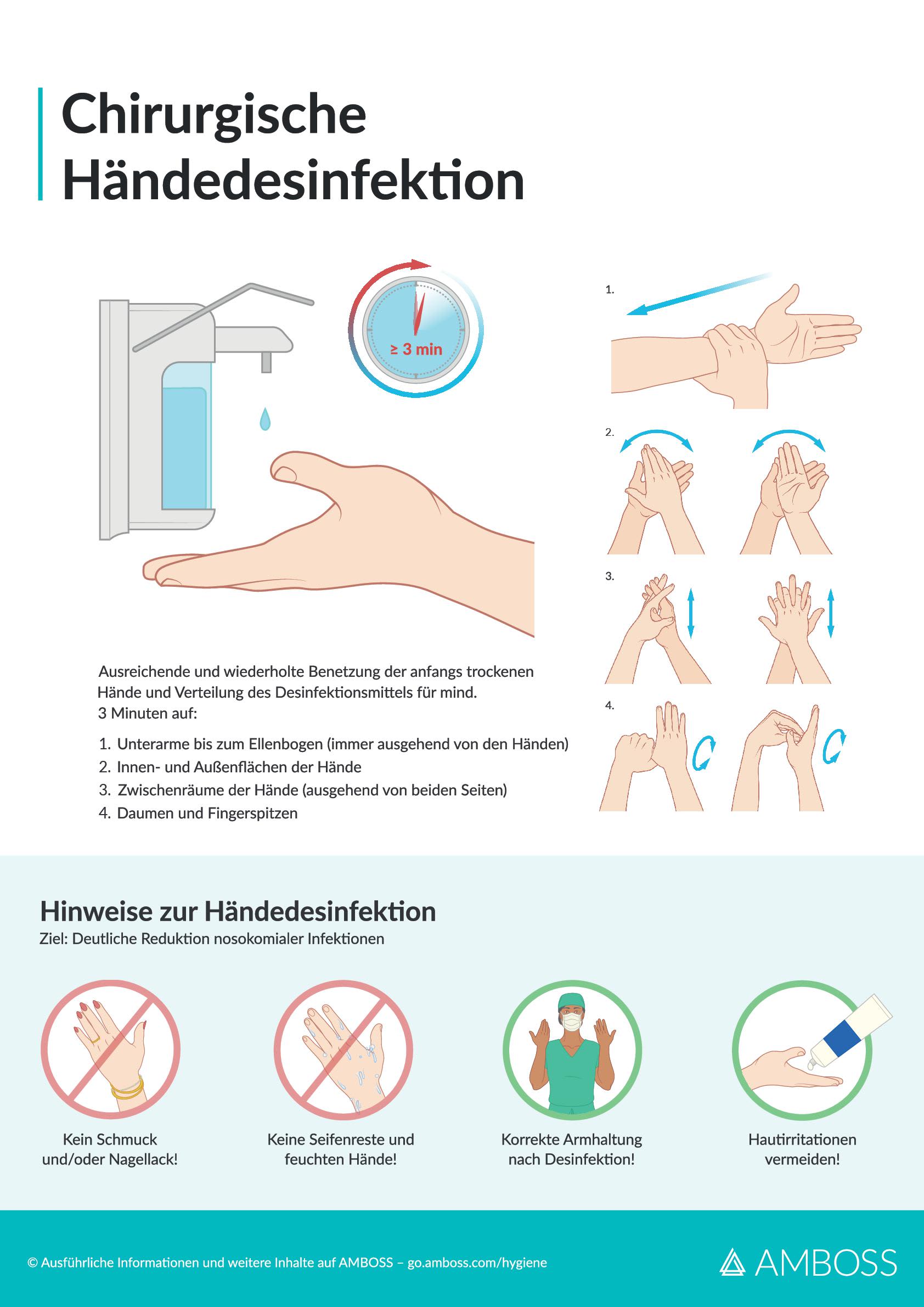 Systematik der Bakterien_AMBOSS Wissens-Hub