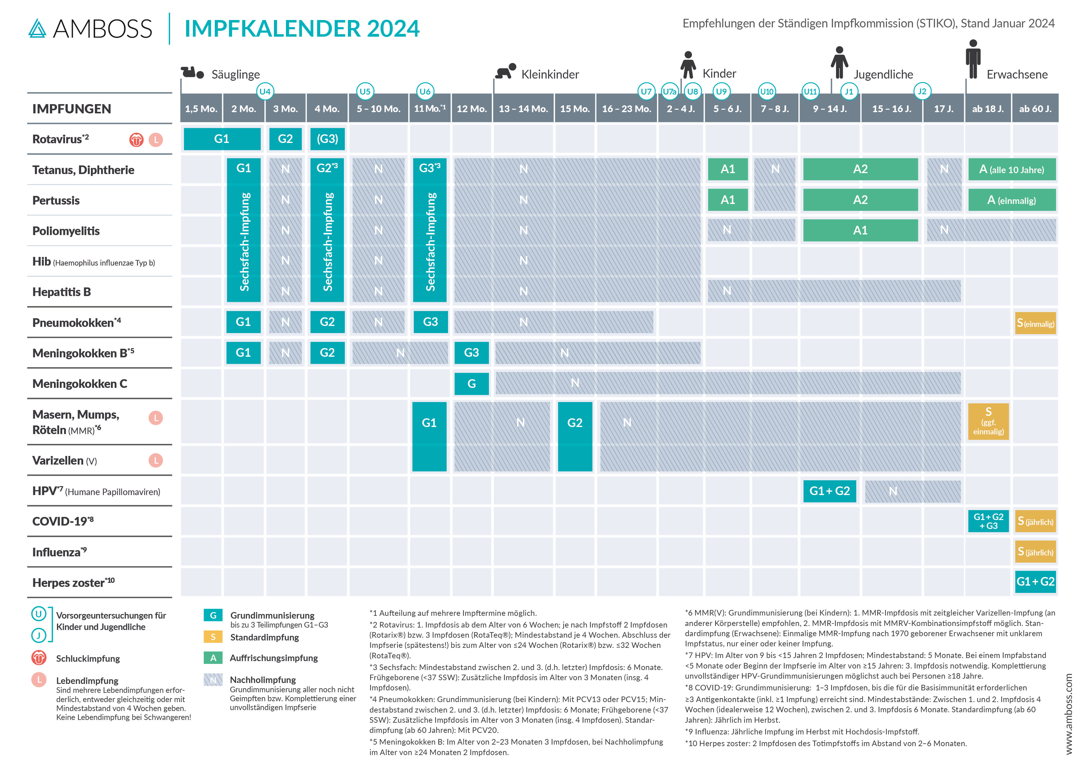 Impfkalender_AMBOSS Wissens-Hub