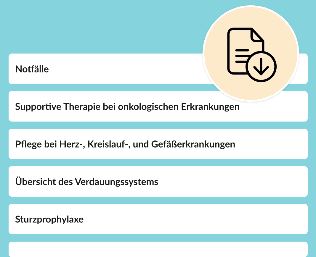 Ausschnitt des Lernplans für die Examensprüfung Pflege